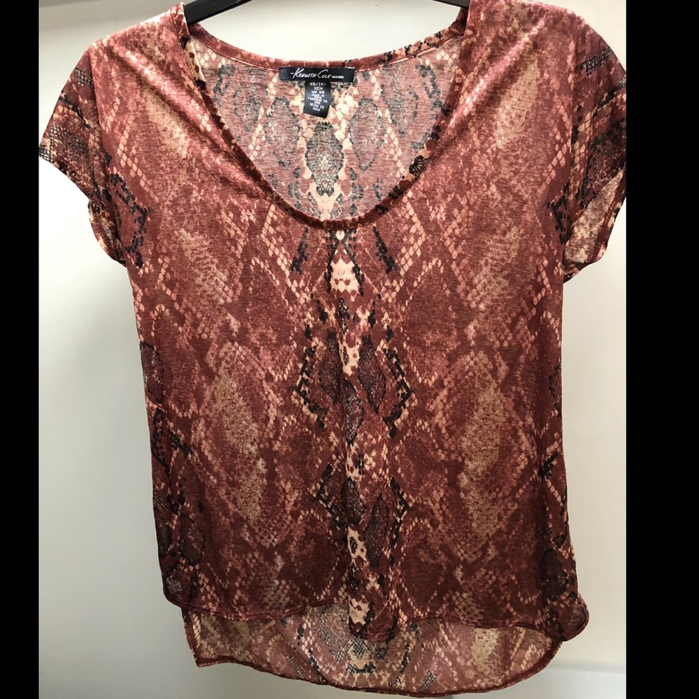 Sheer T-Shirt